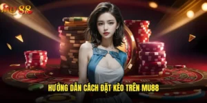 Hướng dẫn cách đặt kèo trên Mu88