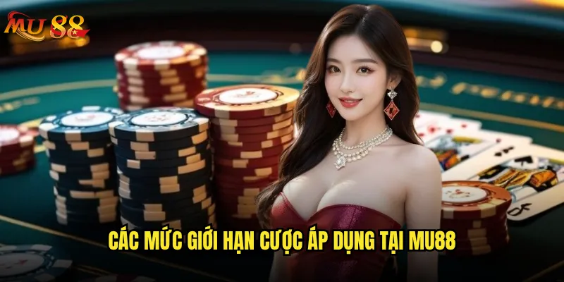 Mu88 có quy định về giới hạn cược như thế nào? 2 Các mức giới hạn cược áp dụng tại Mu88